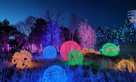 樹(shù)木亮化工程，造就火樹(shù)銀花般的絢麗景觀！